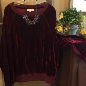 Burgundy velvet sweatshirt top